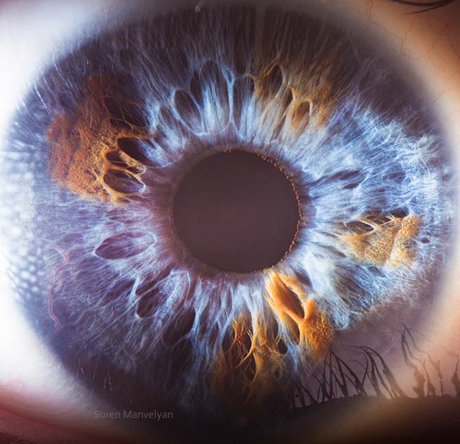 Extreme Close-Ups of the Human Eye